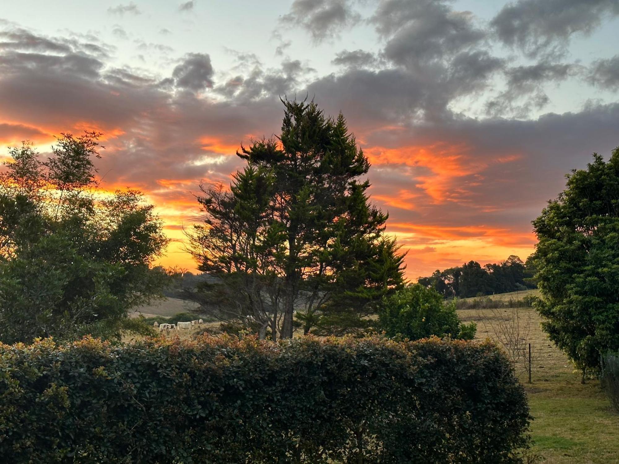 Apple Tree Cottage - Comboyne Mountain Cottages エクステリア 写真